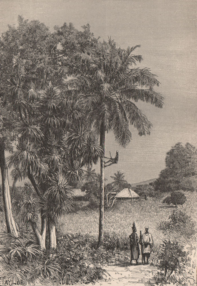 Inland Scenery, Slave Coast. Africa. Nigeria 1885 old antique print picture